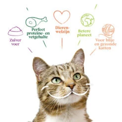 Yarrah - Katzenfutter Paté Rind Mit Chicorée Bio -Haustierprodukte yarrah pat kat kuipje met rund bio 201059 0500 none