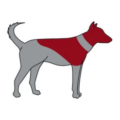 ZenPet Pro Collar 14 ZenPet Pro Collar -Haustierprodukte zenpet pro collar 193865 0500 none