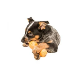 Zogoflex Qwizl 9 Zogoflex Qwizl -Haustierprodukte zogoflex qwizl 136852 0500 none